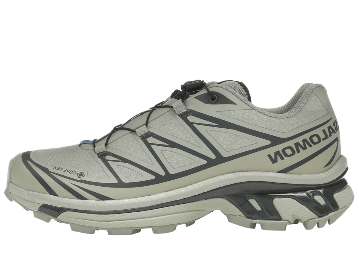 Salomon XT-6 Gore-Tex Tea Peat