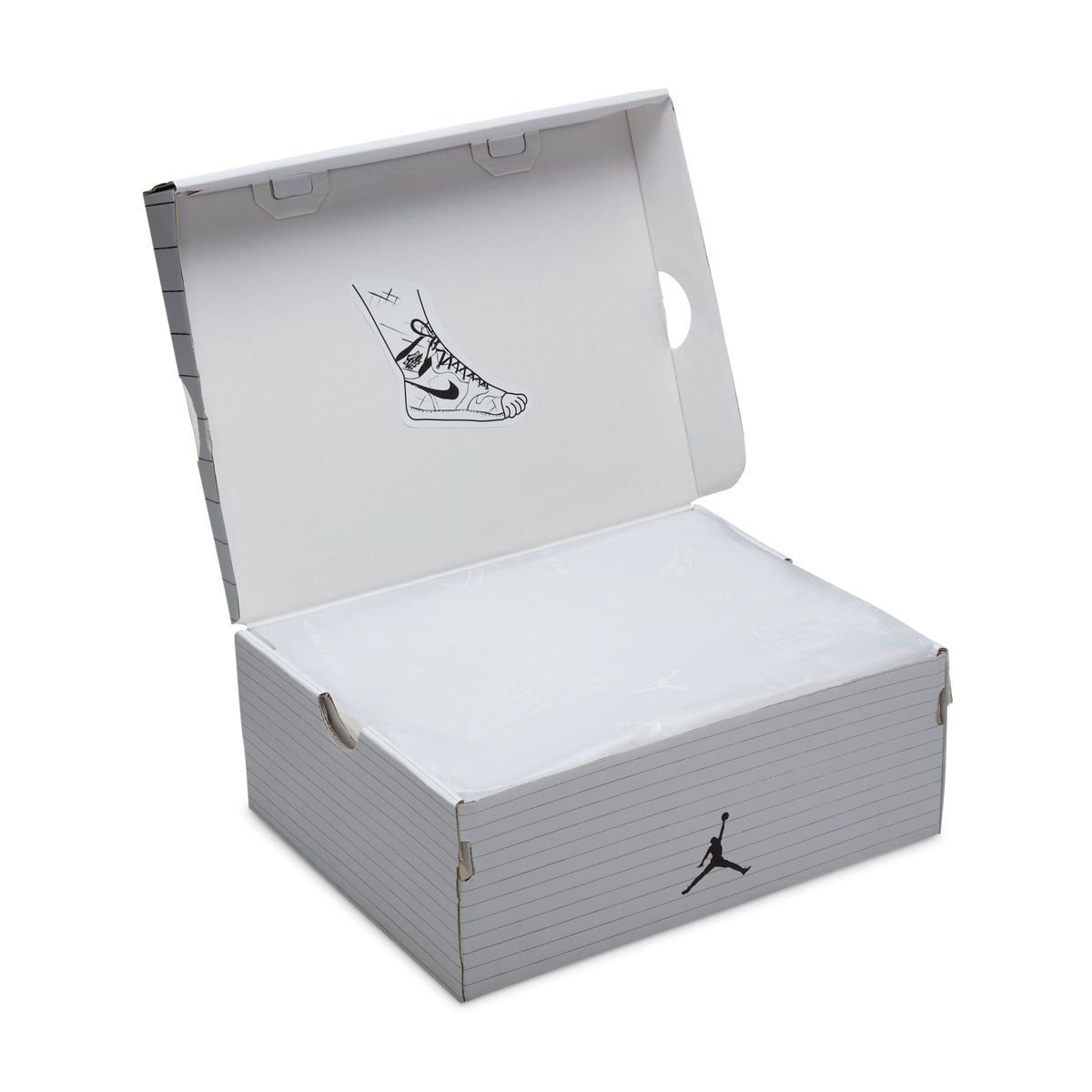 Jordan Spizike Low The Sky Is Not The Limit (GS)