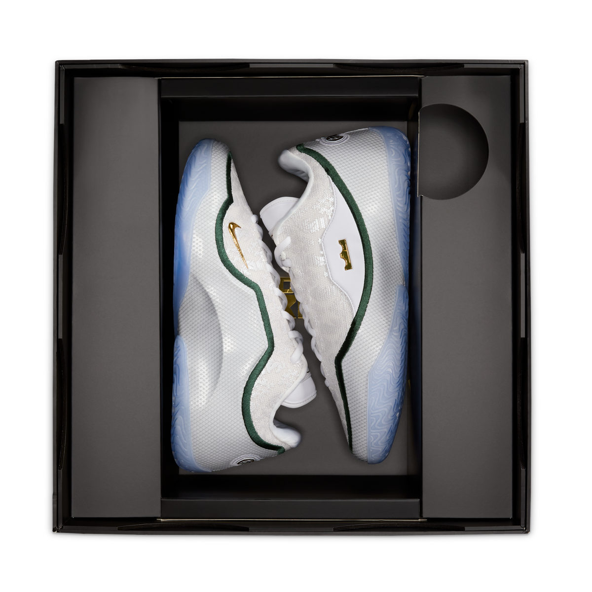 Nike LeBron 23 From This Point Forward
