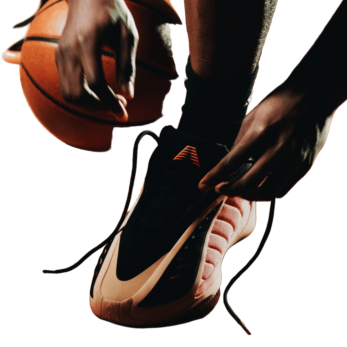 adidas AE 2 With Love
