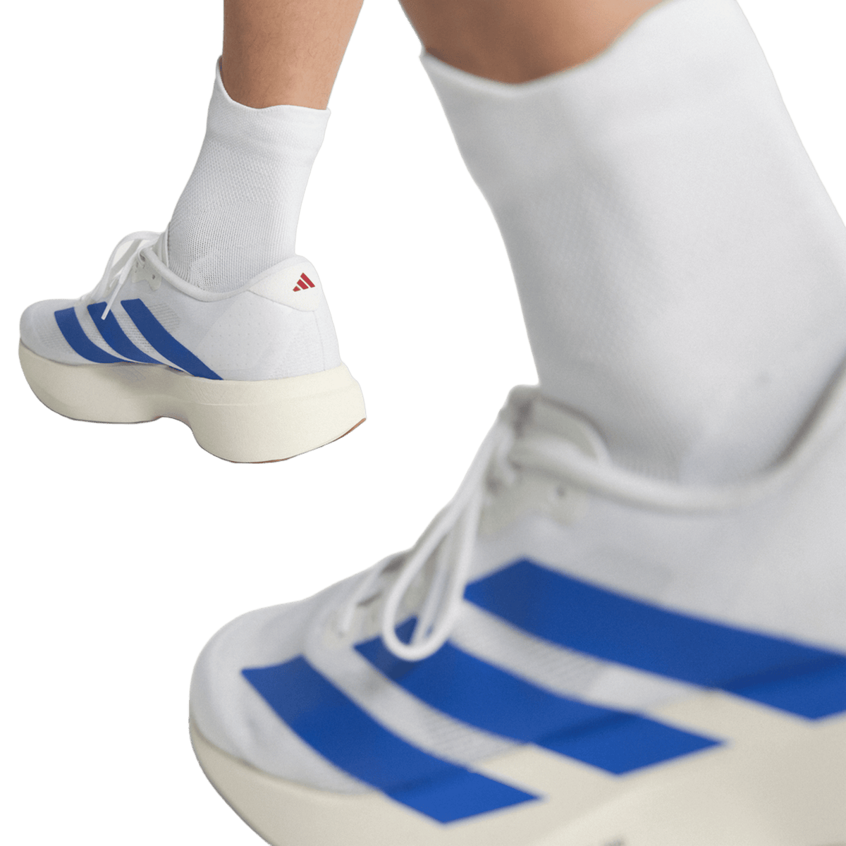 adidas Adizero Evo SL White Royal Blue