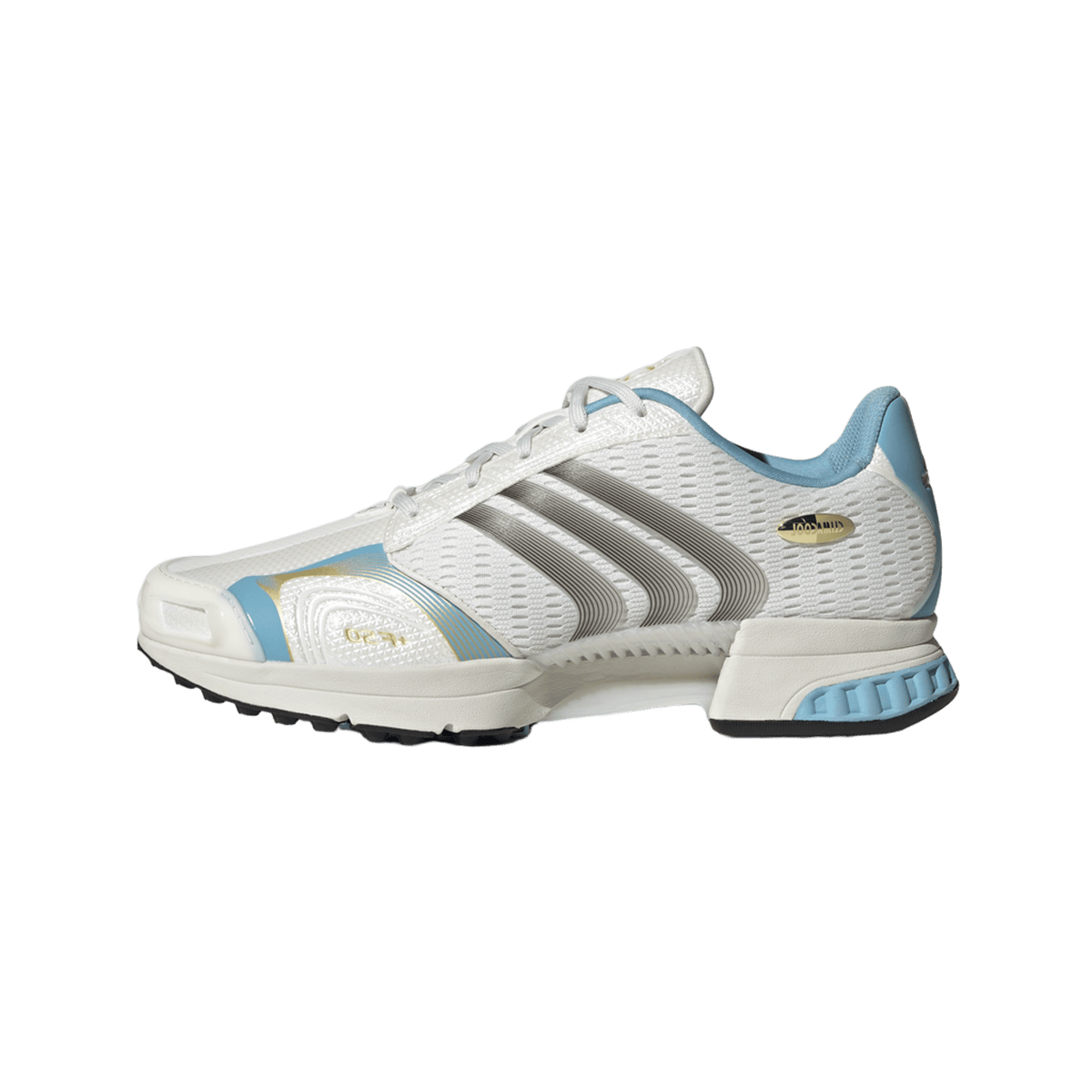 adidas Climacool F50 Messi Argentina