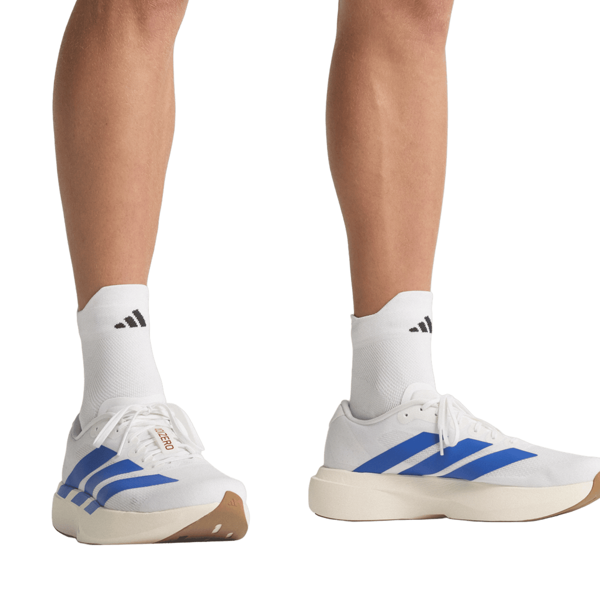 adidas Adizero Evo SL White Royal Blue
