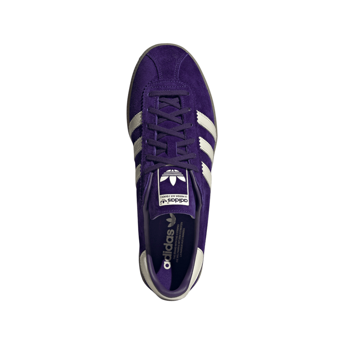 adidas Bermuda Collegiate Purple