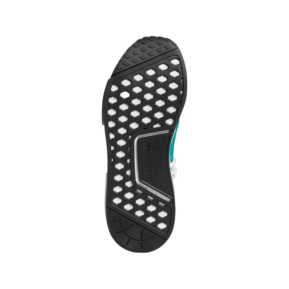adidas NMD Hu Pharrell Dash Green
