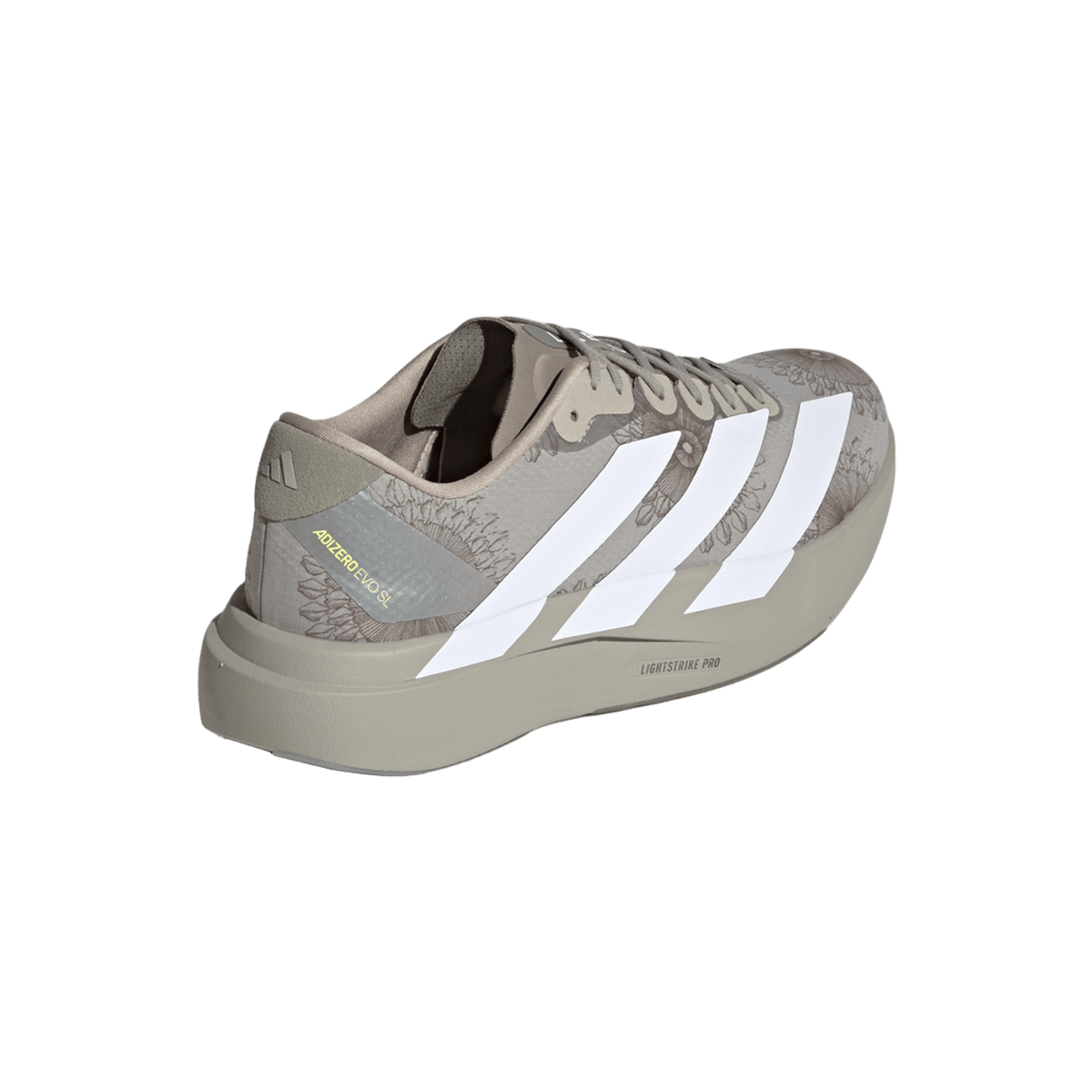 adidas Adizero Evo SL LABRUM Sesame