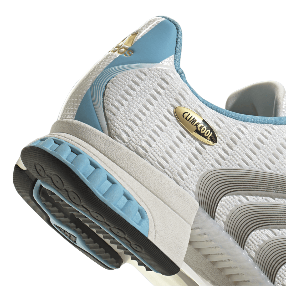 adidas Climacool F50 Messi Argentina