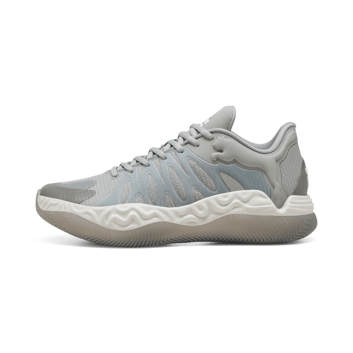 Puma Tyrese Haliburton Hali 1 Grey | 313452-01