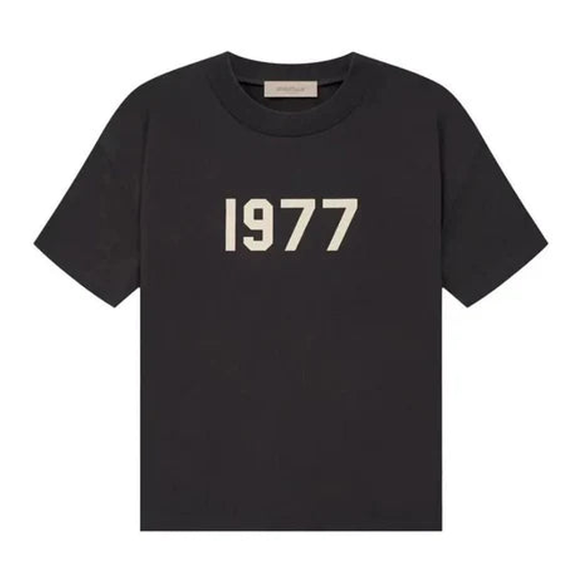Fear Of God Essentials SS22 1977 T-shirt Iron (125BT212000F)
