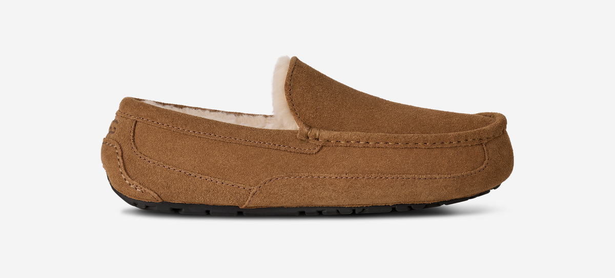 UGG Ascot Slipper Chestnut | 1101110-CHE