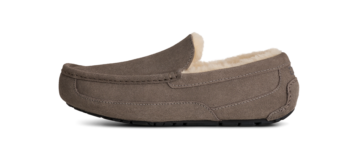 UGG Ascot Slipper Grey