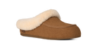 UGG Ansley Mule Chestnut (Women's)
