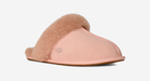 UGG Scuffette II Slipper Beige Blush (Women's) | 1106872-BGB