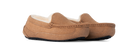 UGG Ascot Slipper Chestnut Suede (Kids)
