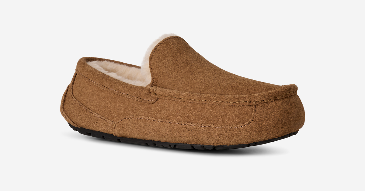 UGG Ascot Slipper Chestnut | 1101110-CHE
