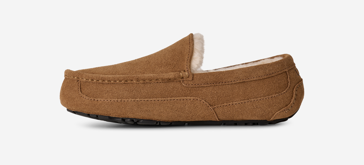 UGG Ascot Slipper Chestnut | 1101110-CHE