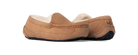 UGG Ascot Slipper Chestnut Suede (Kids)