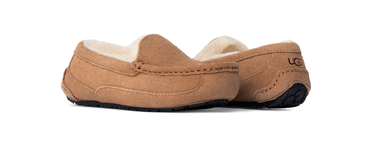 UGG Ascot Slipper Chestnut Suede (Kids)