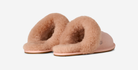 UGG Scuffette II Slipper Beige Blush (Women's) | 1106872-BGB