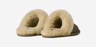 UGG Scuffette II Slipper Moss Green Muted Brass (Women's) | 1106872-MRNM