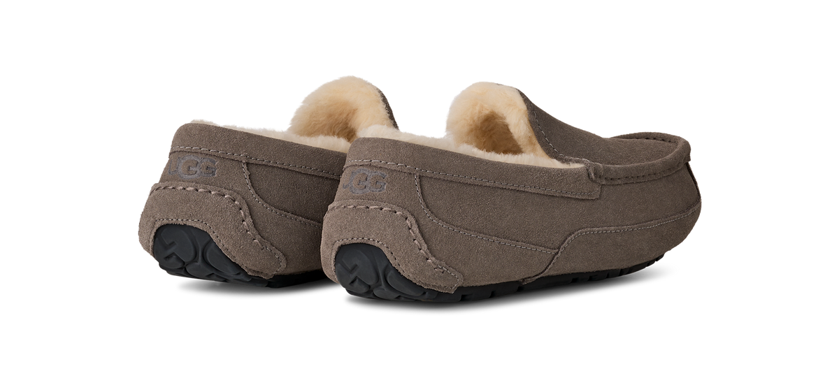 UGG Ascot Slipper Grey