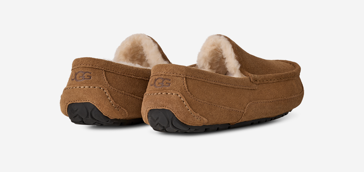 UGG Ascot Slipper Chestnut | 1101110-CHE