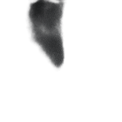 UGG Otzo Clog Black
