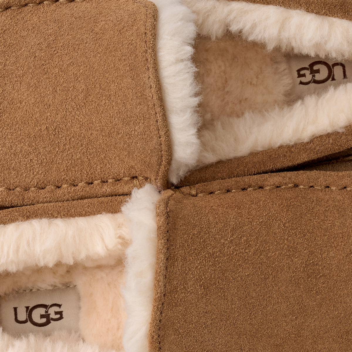 UGG Ascot Slipper Chestnut | 1101110-CHE