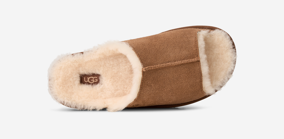UGG Greenport Slide Chestnut (Women's) | 1167610-CHE