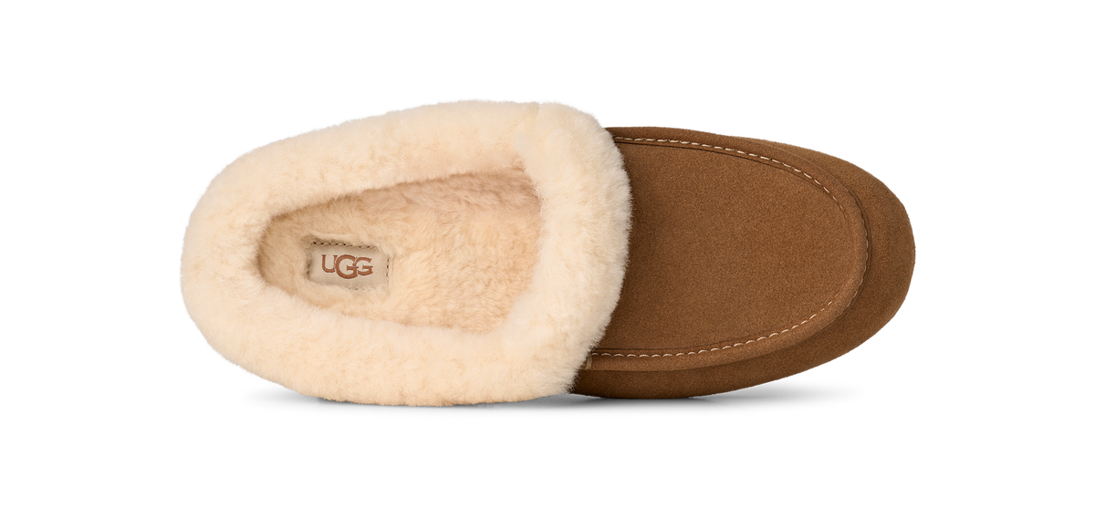 UGG Ansley Mule Chestnut (Women's)