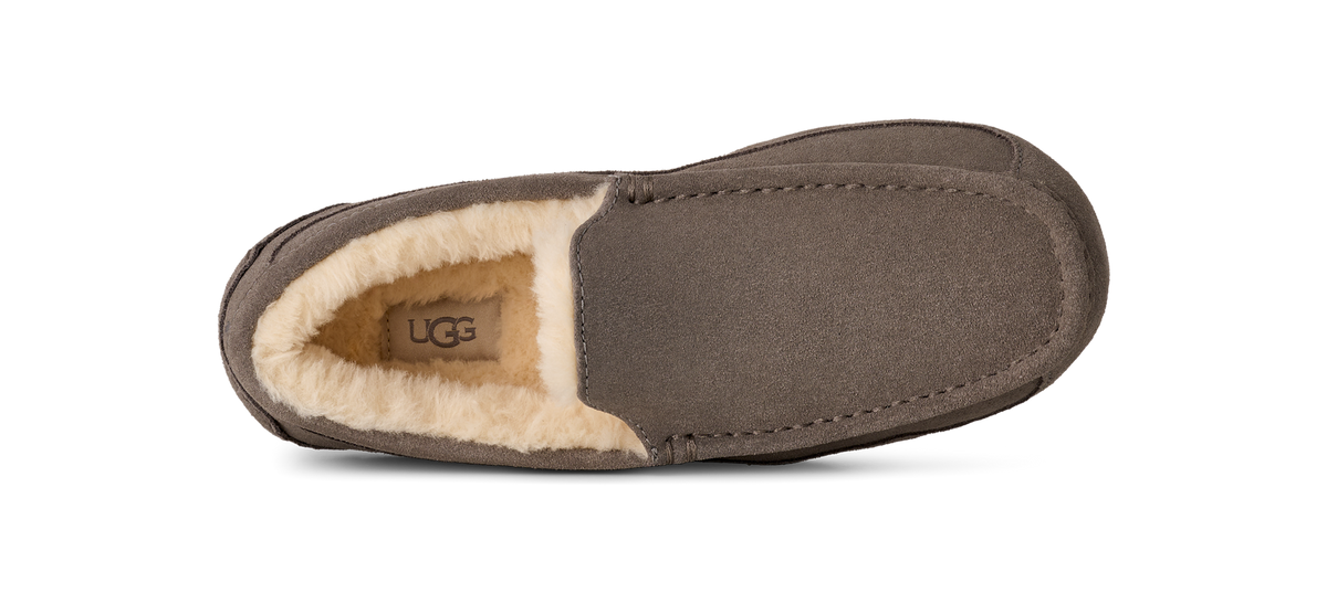 UGG Ascot Slipper Grey
