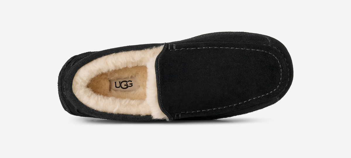 UGG Ascot Slipper Black | 1101110-BLK