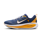 Nike Vomero 18 West Virginia