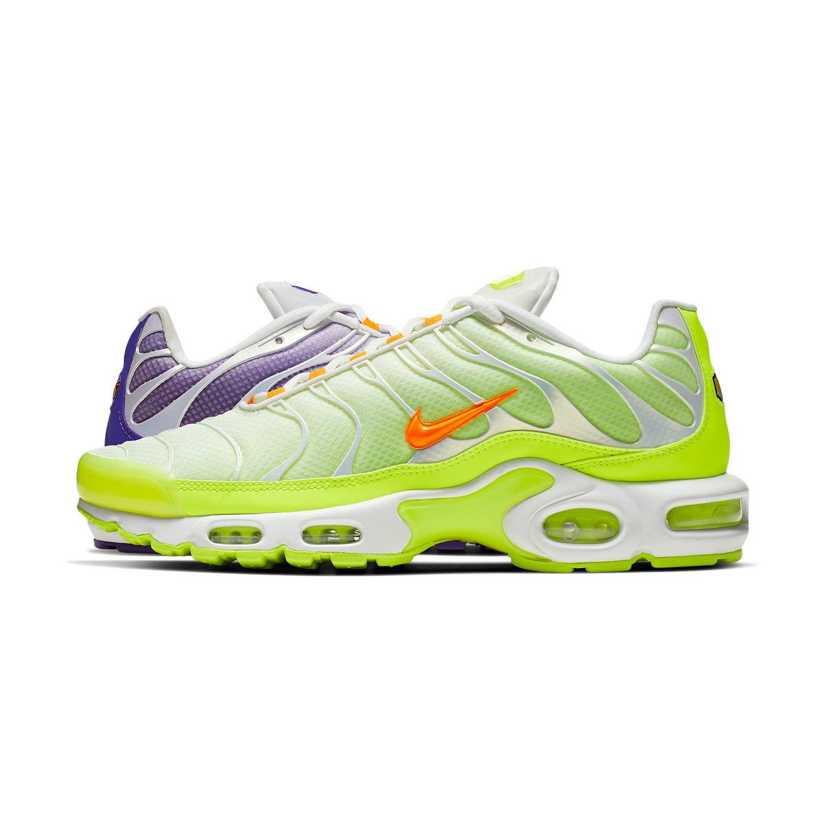 Nike Air Max Plus Color Flip Pack Grape | CI5924-531