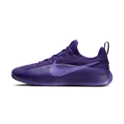 Nike LeBron TR 1 Purple Rain | FJ6151-500