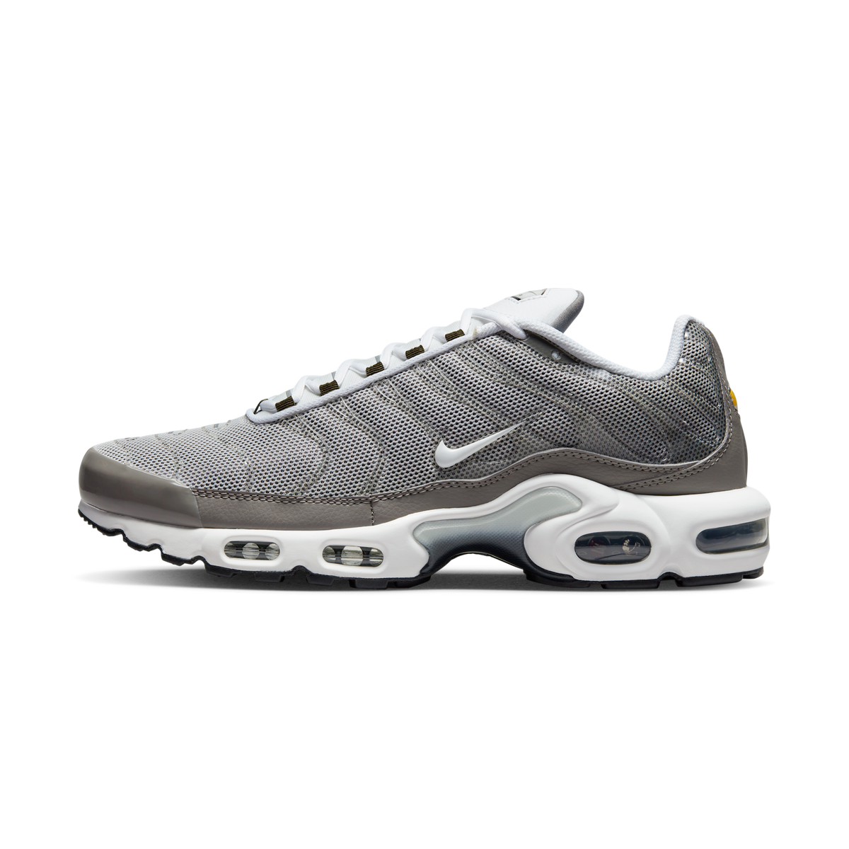 Nike Air Max Plus Flat Pewter | DV7665-002