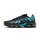 Nike Air Max Plus Black Dusty Cactus