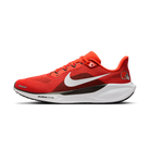 Nike Air Zoom Pegasus 41 Cleveland Browns (2025) | IB3202-800
