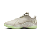 Nike LeBron 22 Dunkman (Translucent Outsole)
