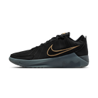 Nike LeBron Witness 9 Black Dark Smoke Grey (Translucent Outsole)