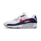 Nike Air Max 90 Eggplant (Women's)