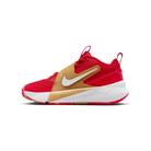 Nike Team Hustle D 12 University Red Gold White (GS)