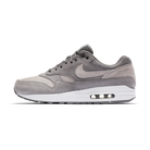 Nike Air Max 1 Cool Grey Wolf Grey