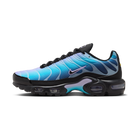 Nike Air Max Plus Black Hydrangeas (Women's) | HV2510-001