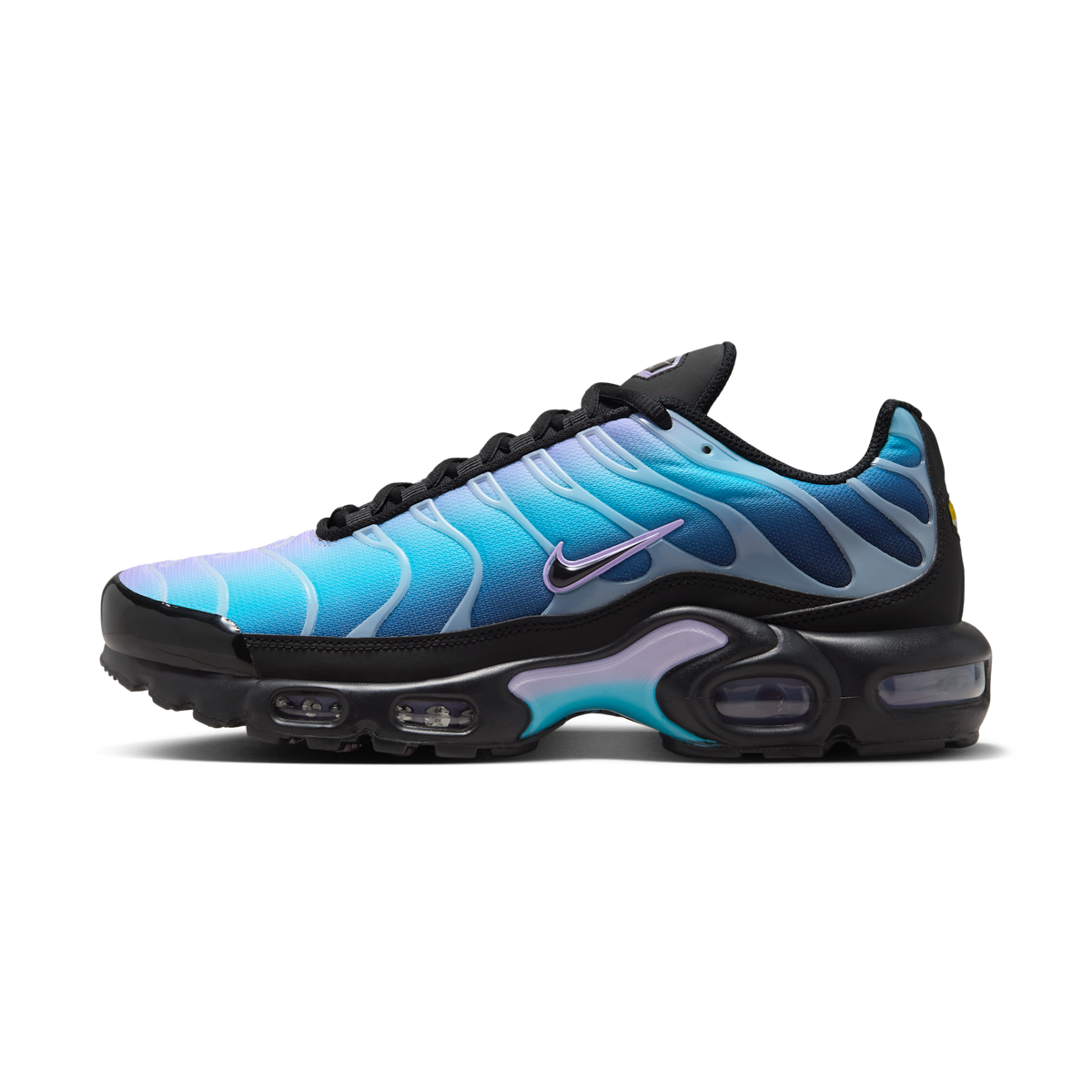 Nike Air Max Plus Black Hydrangeas (Women's) | HV2510-001