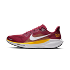 Nike Air Zoom Pegasus 41 Washington Commanders (2025) | IB3184-600