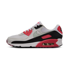 Nike Air Max 90 Aster Pink (Women's)
