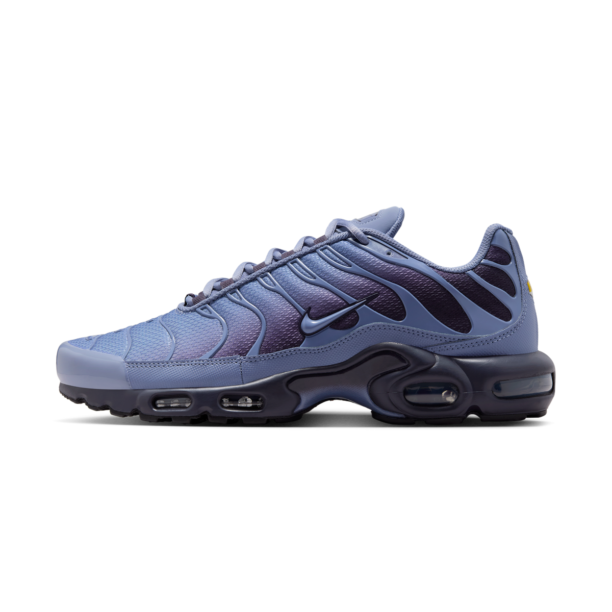 Nike Air Max Plus World Indigo | DM0032-404