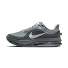Nike Air Zoom Pegasus Premium Wolf Grey | HQ2592-013