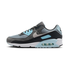 Nike Air Max 90 Light Pumice Smoke Grey